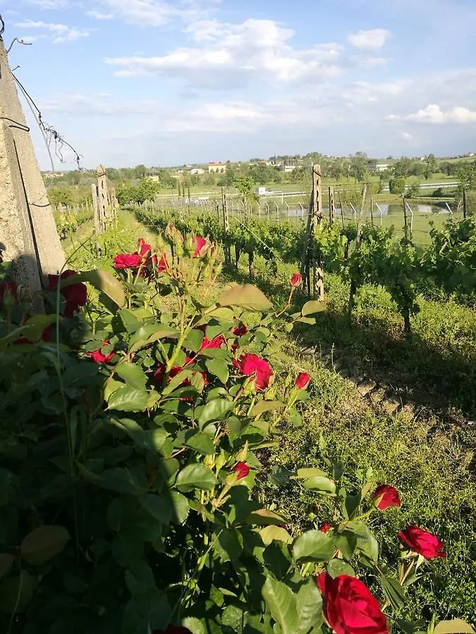 Il Melograno Guest House Torrita di Siena Italy